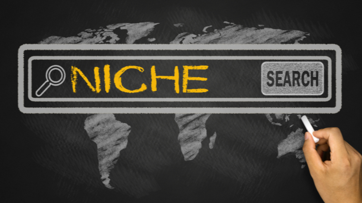Developing marketing strategies for niche audiences